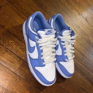 Polar Blue Nike Dunks